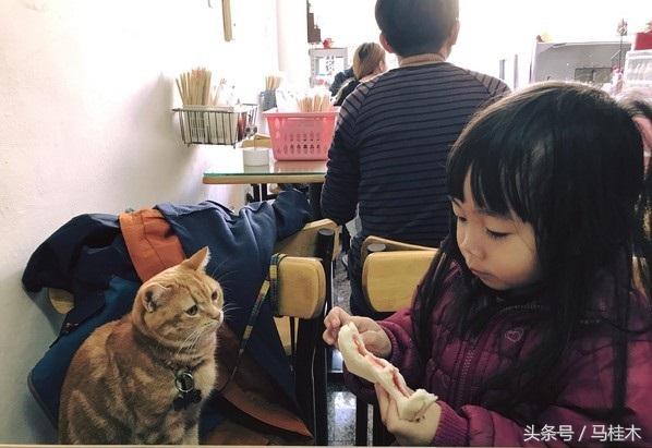 马桂木:人家还只是个宝宝，要吃手手，不给吃就生气