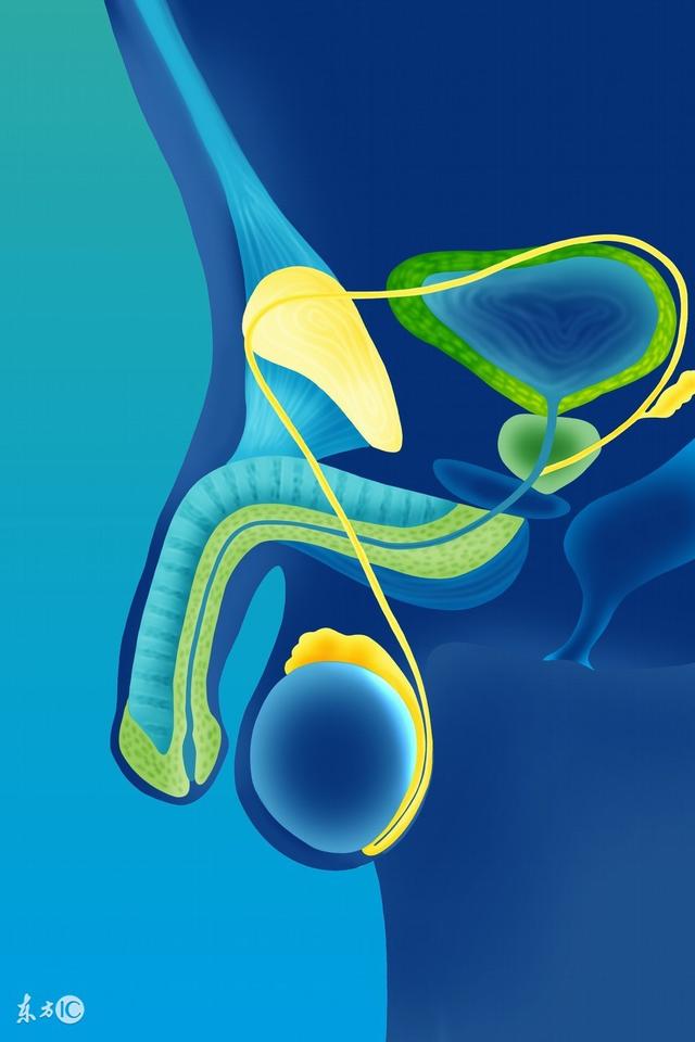 龟头角化是什么意思