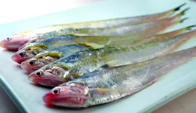 凤尾鱼和刀鱼同为鲚鱼家族,其门下还有凤鲚,刀鲚,七丝鲚,短颌鲚等.