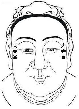 精舍和光殿指什么位置 精舍和光殿指什么位置