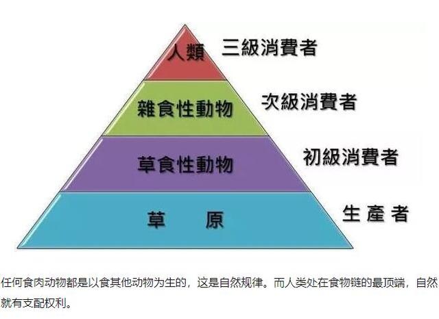 树枝人造革破碎机