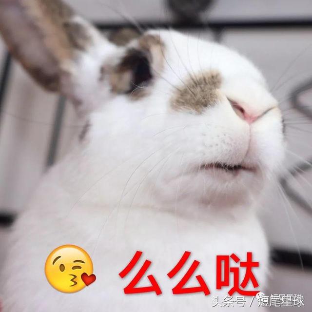 草饼