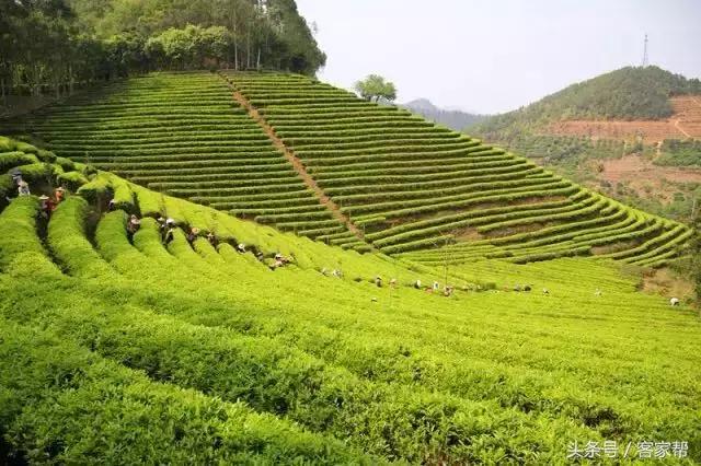 梅县旅游景点大全