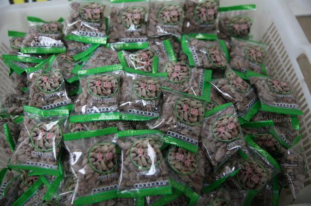 大型瓜秧破碎机