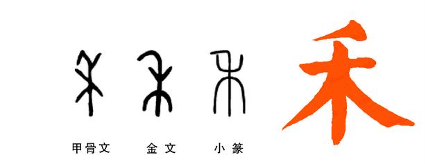 本想讲讲插秧,发现还没有讲过"禾"字呢.左米供