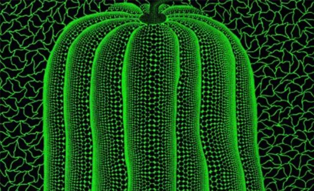 展讯staff工程师