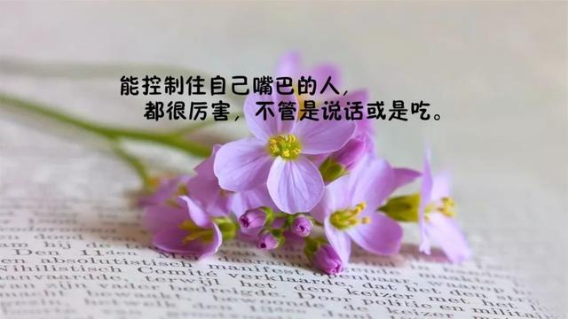 正能量早安心语180213：不是有机会才争取，而是争取了才有机会