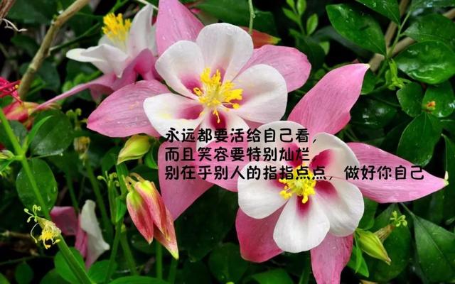 正能量早安心语181031：无论走到哪里，我们都要学会支撑自己