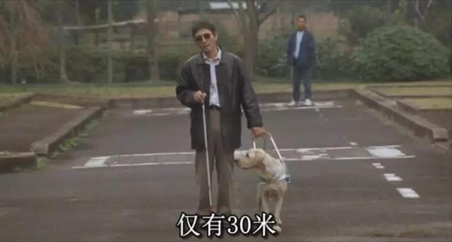 警犬电影