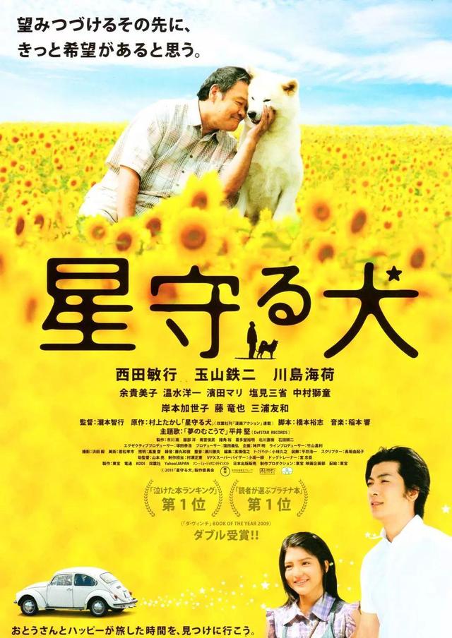 关于狗的电影