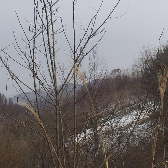 墓地里有石头怎么办
