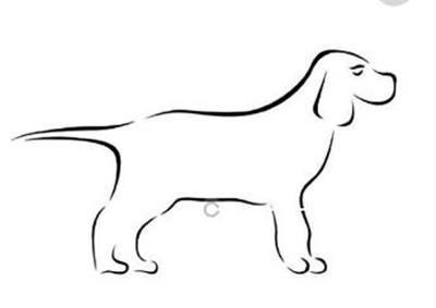 小狗简笔画关于狗的简笔画今年是2018年狗年.