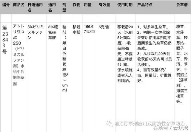 水稻田除草剂五氟磺草胺抗性加剧，这个产品据说是最佳替代品！6