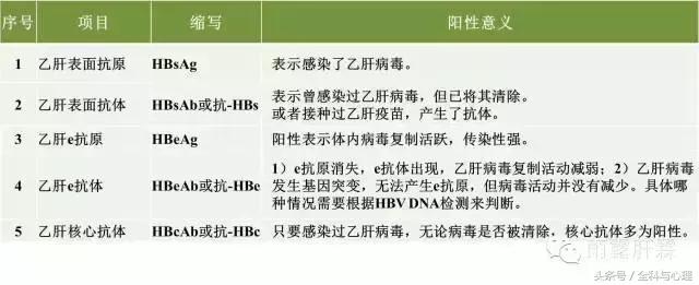 乙肝六项检查135阳性什么意思