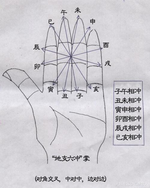 十二地支是什么