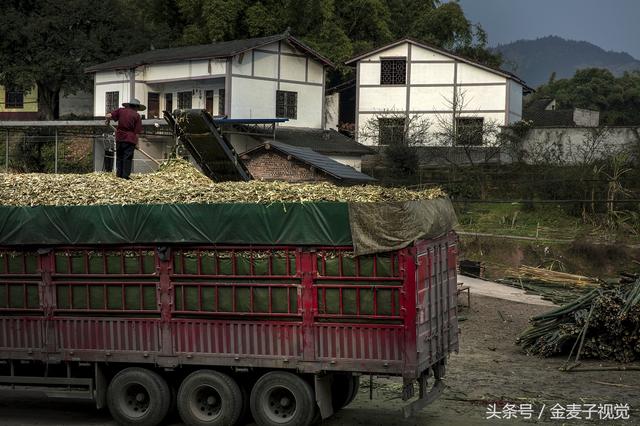 柴油版竹片破碎机