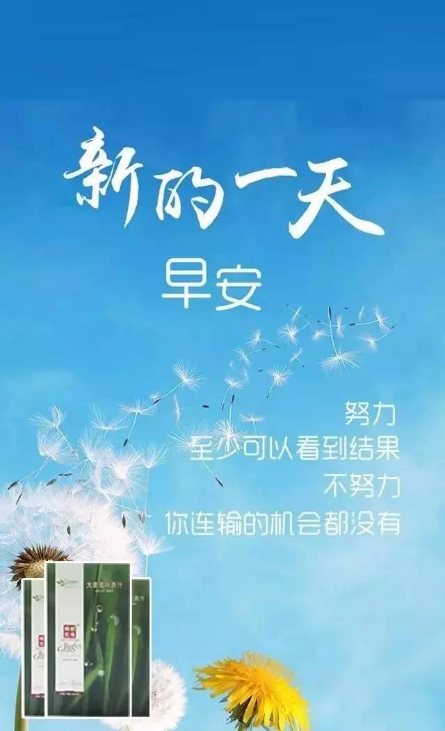 正能量早安心语180504：二十多岁就选择安逸，是对自己最大的残忍