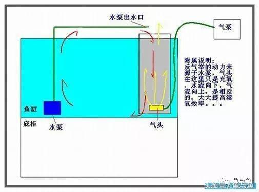 圆筒筛砂螺旋洗沙一体机厂家