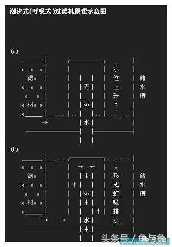 圆筒筛砂螺旋洗沙一体机厂家