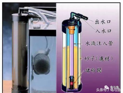 圆筒筛砂螺旋洗沙一体机厂家