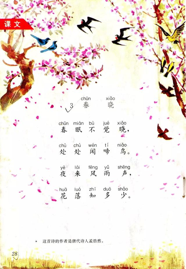 《春晓》丨那些年，我们一起读过的课文