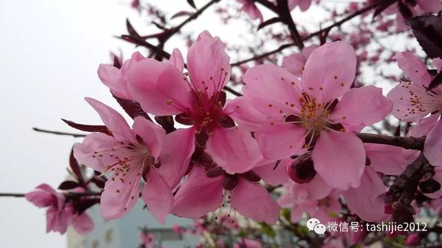 北京同科过滤机