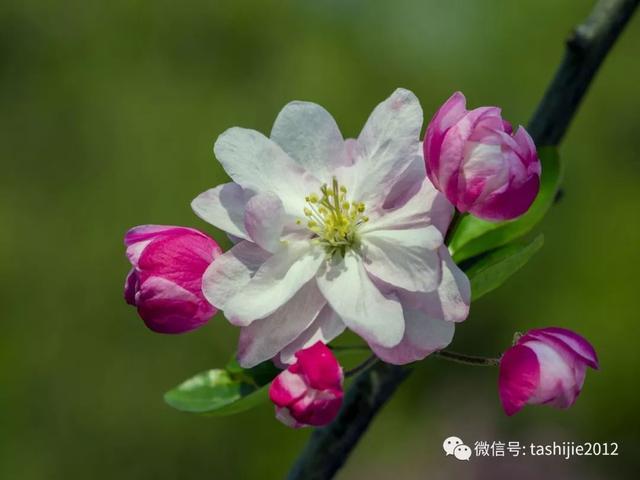 北京同科过滤机的简单介绍