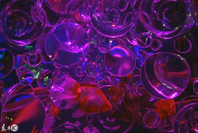水族工程展