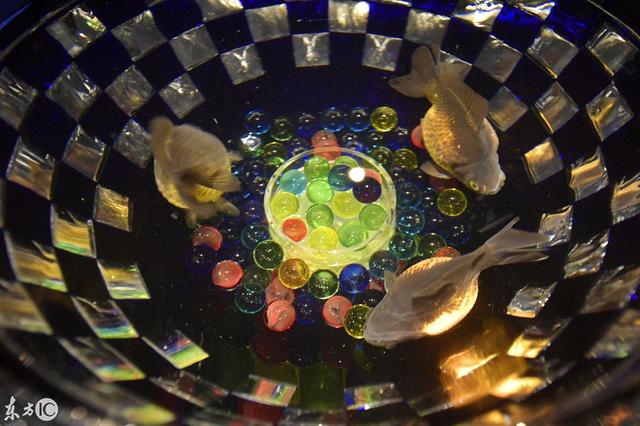 水族工程展