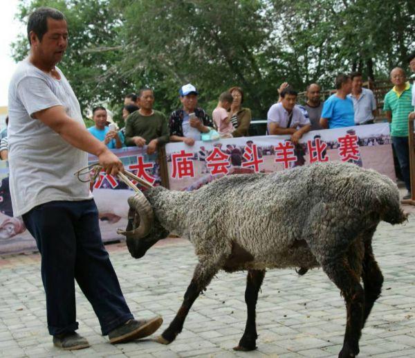 藏羌特色文化墙（徜徉在丝路世界文化遗产第19个地标上）(3)