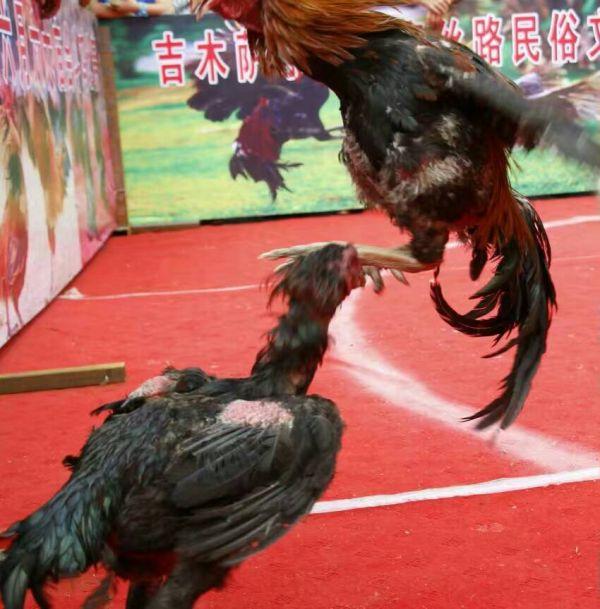 藏羌特色文化墙（徜徉在丝路世界文化遗产第19个地标上）(4)