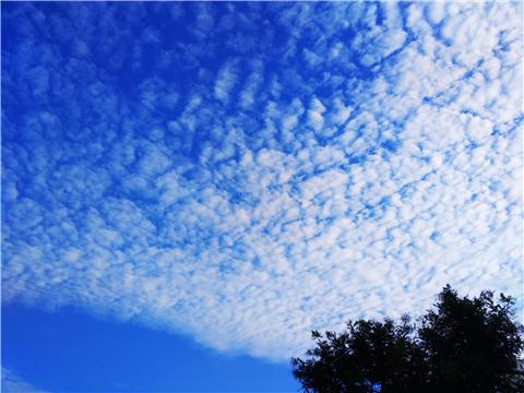 山东省青州市什么时候开始冷（山东青州今日处暑）(1)