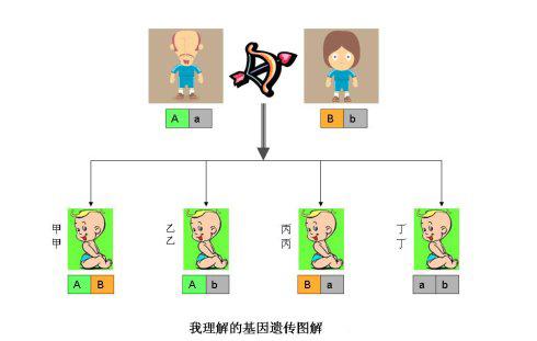 一张纸就知道是不是亲生儿子:亲子鉴定是怎么回事