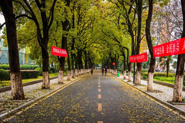 合肥有什么大学