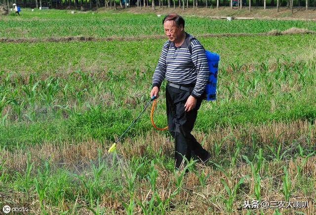 百草枯有了解药，应该被解禁吗？农民说，用它除草效果真是好4