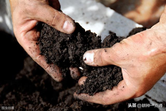 几种除草剂对烟田杂草的防除效果3