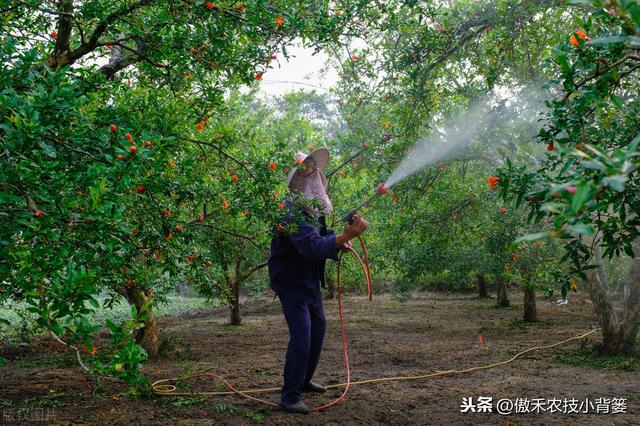 兼有杀菌+治疗作用、可防治细菌真菌病毒病害，这种杀菌剂不简单6