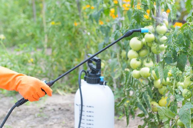 氟吡甲禾灵–蔬菜种植常用除草剂使用介绍1