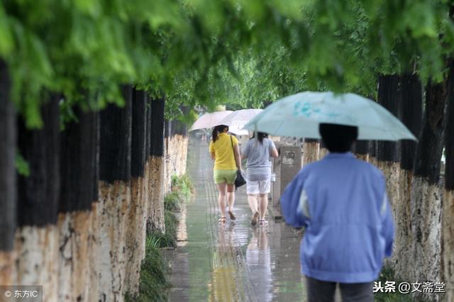 蝴蝶花小短文「小蝴蝶花原文」