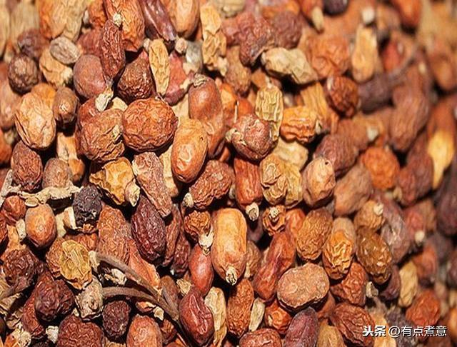 十种顶级香辛料（认识这13种香辛料的人）(3)