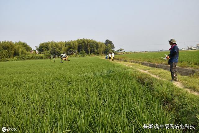 嘧菌酯杀菌效果好，适合多种作物使用，这6个优点你得知道2