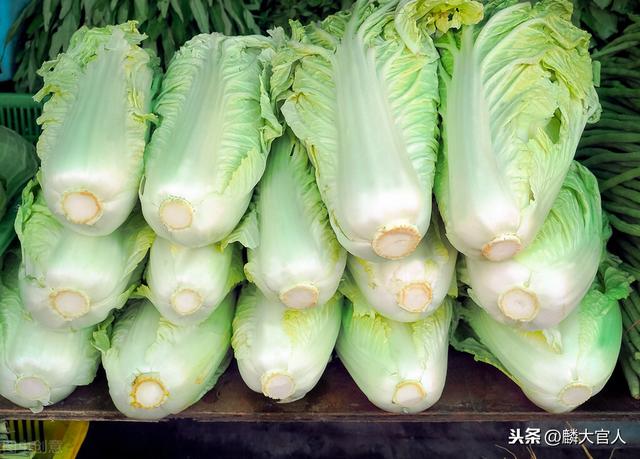 “娃娃菜”和“大白菜”有啥区别？口感、营养差别都大，别买错了