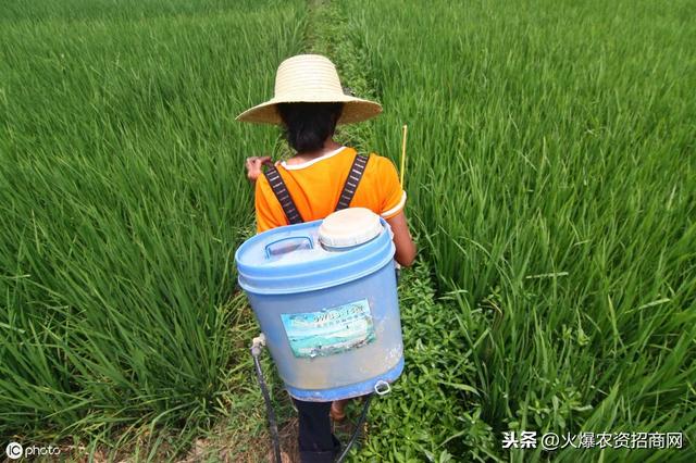 莠去津除草剂使用方法 莠去津除草剂适用范围