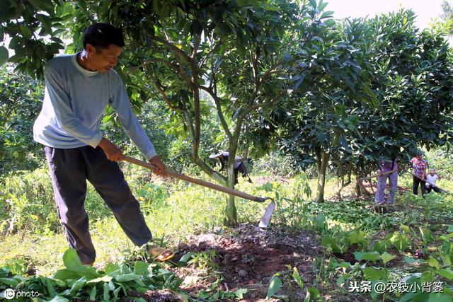 草甘膦与草铵膦同属广谱、高效、灭生类除草剂，差别竟然这么大5