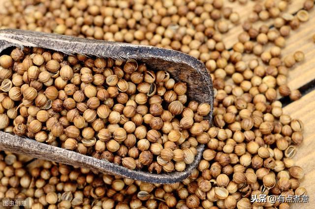 十种顶级香辛料（认识这13种香辛料的人）(6)