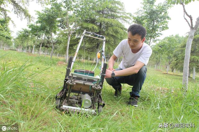 果园除草这几种方法都很好，你最想用你一个4