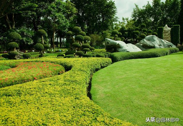 巧用这几种除草剂，一封一杀，绿篱杂草防除不再是难题