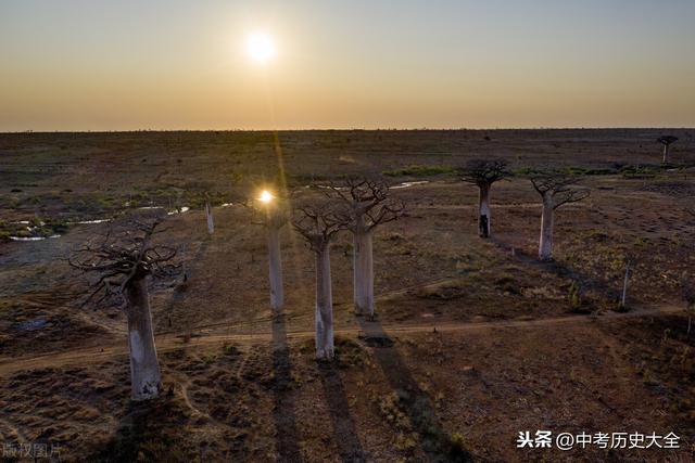 中考必考点————初中历史《路线、对比类地图汇总》