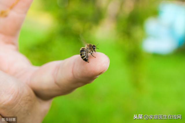 被蜜蜂蛰了怎么办