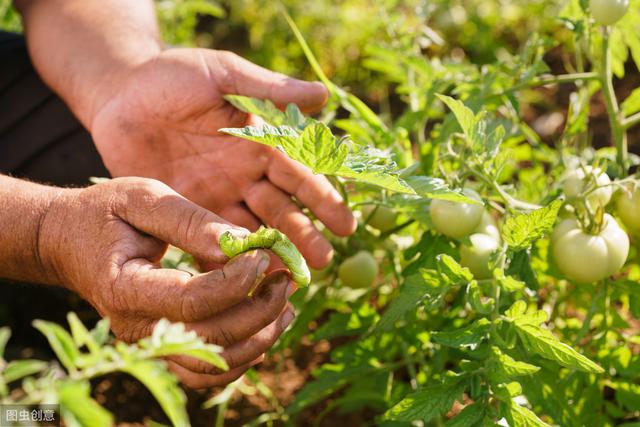 非常受农民欢迎的42种农药，附农药生产用药方法4